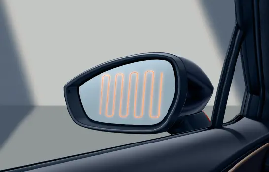 door-mirror